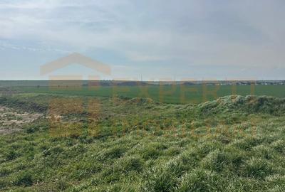 Teren Construcții intravilan de 10000 mp, în Valu lui Traian - 2