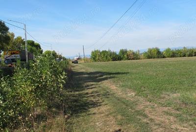 Teren de 3000 mp, în Central - 3
