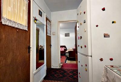 Apartament cu 3 camere decomandat în Ozana - 7