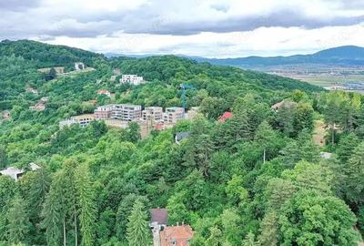 Teren de 2700 mp, în Drumul Poienii