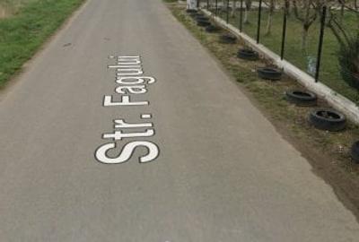 Teren Construcții intravilan de 600 mp, în 1 Decembrie - 10
