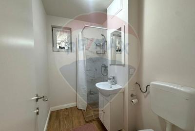 Apartament cu 2 camere de închiriat în zona Teiul Doamnei - 4