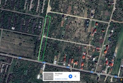 Vanzare teren intravilan Tancabesti / Snagov - 1
