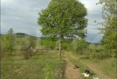Teren în Central - 3
