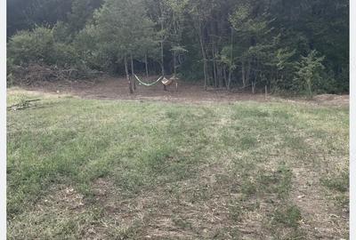Teren de 2200 mp, în Turcinești - 3