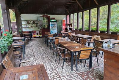 Casă cu 3 camere în Vadu Crișului - 6