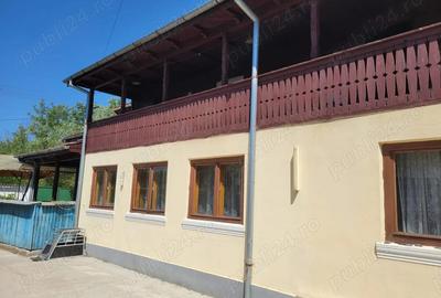 Gospodarie Olanu - 2