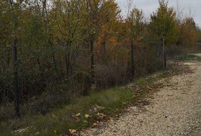 Spațiu comercial, în Corbeanca