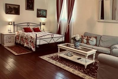 DE VANZARE Park Villa Boutique Hotel4*Zona istorica Timisoara - 6