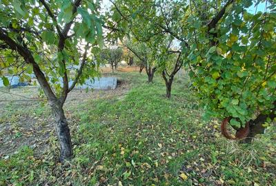 Proprietar,casa in Hlincea 170 mp,teren 1500 mp,aer curat,liniste Proprietar,casa in Hlincea 170 mp,teren 1500 mp,aer curat,liniste - 9