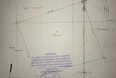 Teren de 3100 mp, în Bălțați - 9