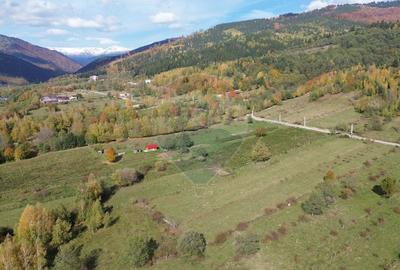 Teren de vanzare in Leresti - ideal pentru casa sau pensiune la munte - 8