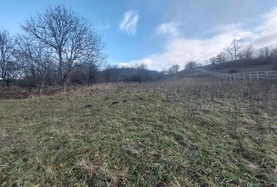 Casa de vanzare la Presaca - 1