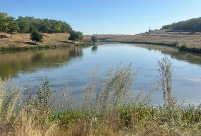 Teren intravilan - 1