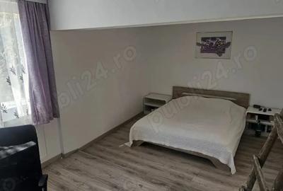 Casa valea viei piatra neamt Casa valea viei piatra neamt - 4