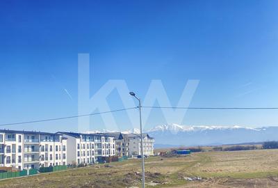 Apartament cu 2 camere decomandat, mobilat în Mihai Viteazul - 9