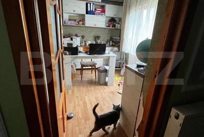 Casă cu 4 camere cu Teren 1500 Mp în Cudalbi - 1