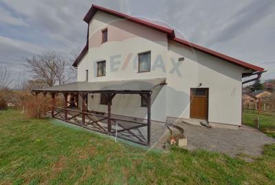 Casă cu 6 camere cu Teren 1505 Mp în Sud-Est - 2