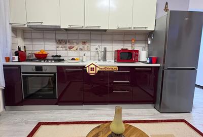 Apartament cu 2 camere semidecomandat, mobilat în Păcurari - 9