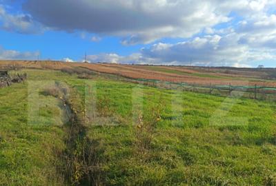 Teren extravilan, 7800 mp, intrare in ?imleu Silvanie - 2