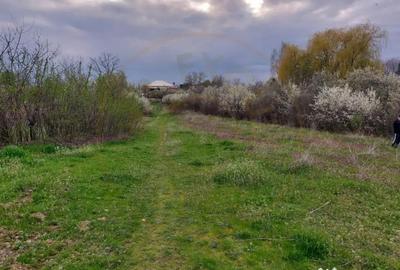 Teren de 3669 mp, în Topoloveni