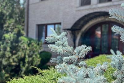 Casă individuală cu 7 camere cu Canalizare în Domnești - 13