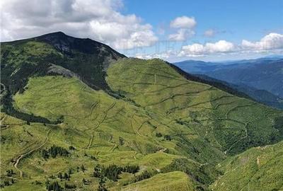 SUPER OPORTUNITATE, DE VANZARE O PROPRIETATE SPECIALA, MUNTELE VARFUL GROAPELE , - 3