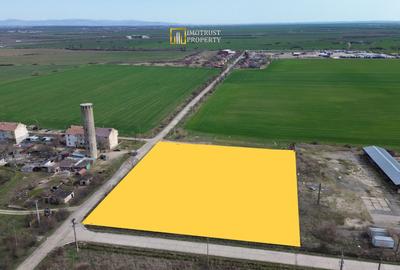 Teren Construcții intravilan de 9520 mp, în Sud - 2