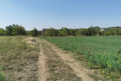 4 Loturi Teren de 635 mp  Domnesti-Teghes. 29 m Lat / 22 m Lun - 6