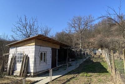 Casă cu 4 camere în Valea Mare - 8