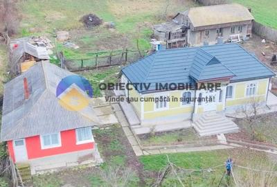 2 CASE de POVESTE intr-o zona linistita + teren 3600 mp - COSTIȘA - 15