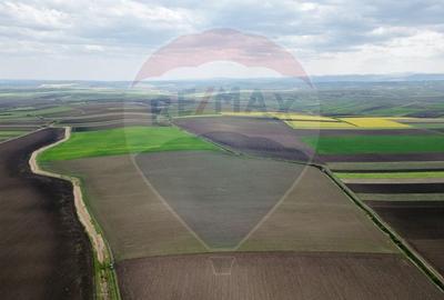 Teren 86,000mp Suceava / DN 17 - 1