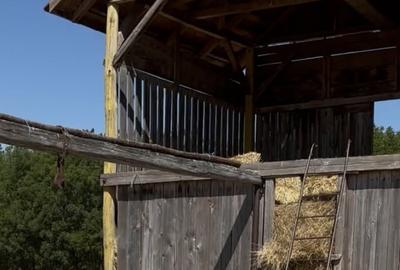 Teren în Central - 3