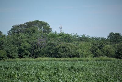 Teren Construcții intravilan de 1500 mp, în Lazu - 7