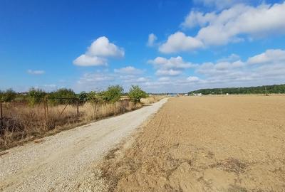 Ciolpani, Izvorani, apropiere padure si COR - 3