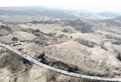 Spațiu comercial, în Bârzulești - 1