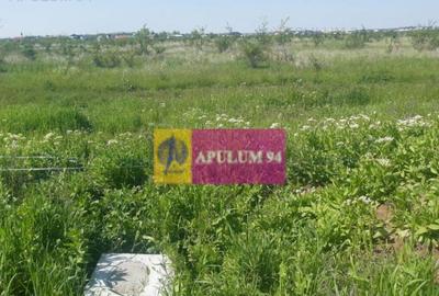 Teren de 29000 mp, în Pantelimon - 3