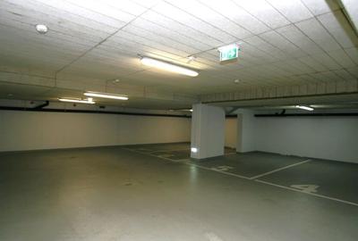 Apartament cu gradina Primaverii - 9