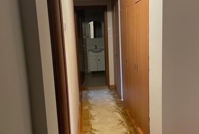 Apartament cu 3 camere decomandat, mobilat în Săsar - 10