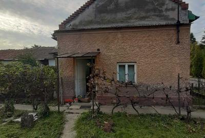 Casă cu 2 camere în Mișca - 4