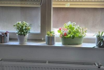 Apartament cu 2 camere decomandat în Ștefănești - 9