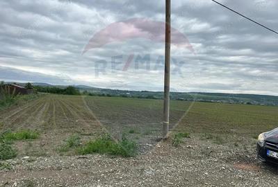 Teren 2,500mp Margineni / Prelungirea Crinului - 1