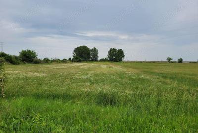 Casa in Calinesti Ph 4 camere teren 4997mp 50.000e - 19