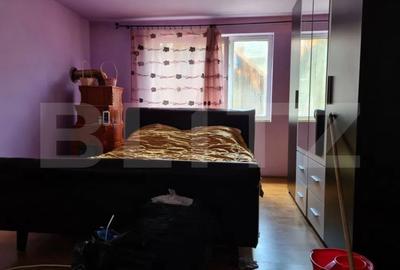 Case individuale, 300mp util,3000mp teren, zona Serbauti