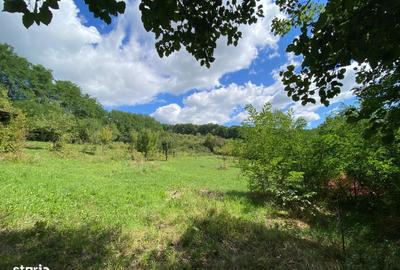 Casă cu 4 camere în Cărbunari - 20