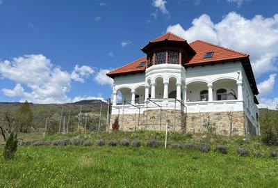 Casă individuală cu 10 camere cu Canalizare în Arefu - 2