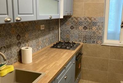 Apartament cu 2 camere decomandat în Gorjului - 13
