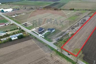 Teren de 10869 mp, în Mirceștii Vechi - 4