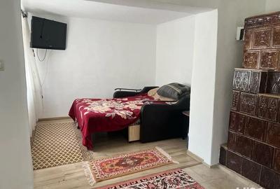 Casă cu 5 camere cu Teren 1300 Mp în Turcoaia - 9