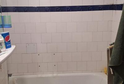 Apartament cu 3 camere decomandat în Scriitorilor - 2